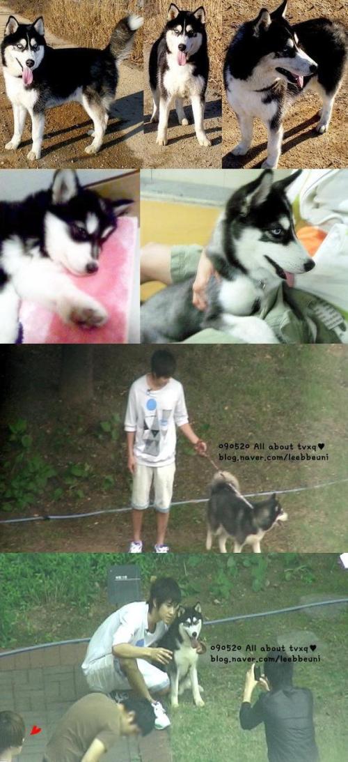 Yunho and his dog 'Taepung' (Siberian Husky)